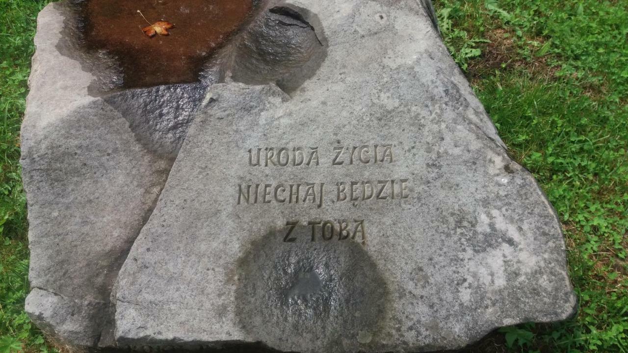 Ropki Dwor Rajdany Villa Luaran gambar